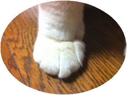 ˂̂
